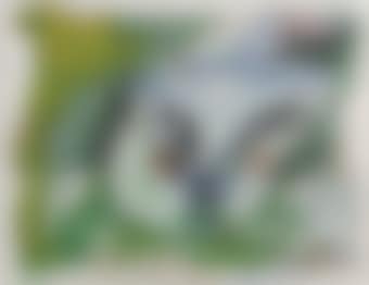 Head (preview)