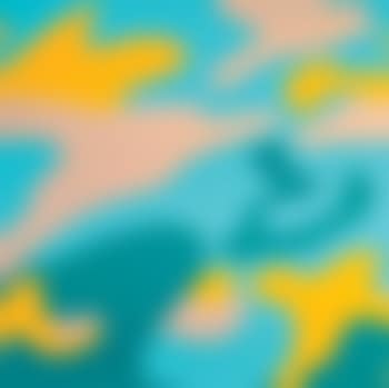 Camouflage (preview)