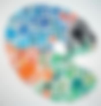 Palette (preview)