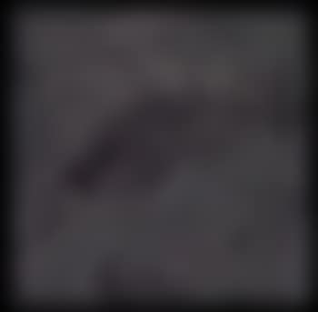 Shelf (preview)