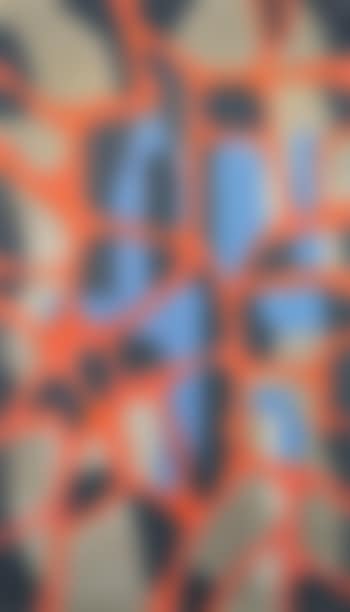 Composizione (preview)