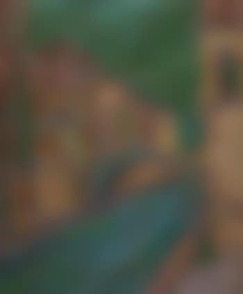 Le pont (preview)