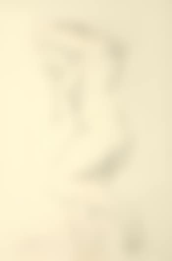 Female Nude (preview)
