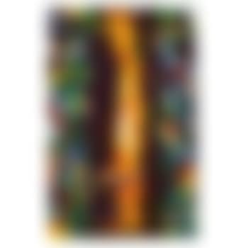 SF-343 (preview)