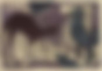 Katze und Vogel (preview)