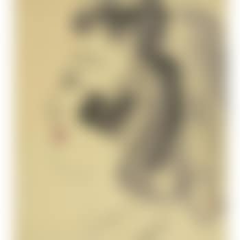 Portrait Of A Lady (preview)