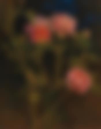 Etude de roses (preview)