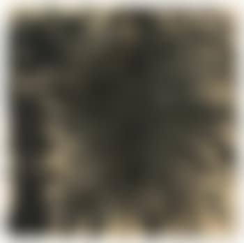 Geteiltes Bild (preview)