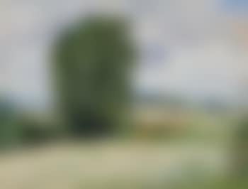 Rokytno (preview)