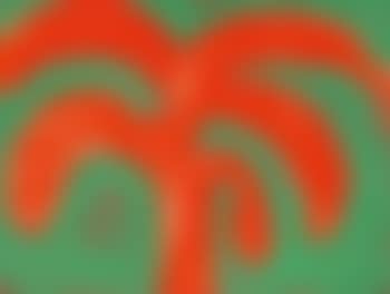 Indian Tree (preview)