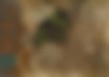 Composition (preview)