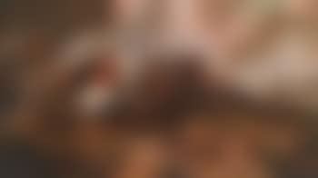 A skirmish between Christian and Osman horsemen (preview)