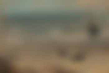 Fischer am Nordseestrand (preview)