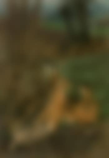 Zwei Hasen in einer Landschaft (preview)