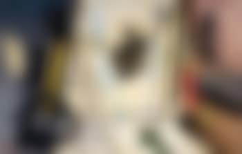 Il battello affondato (preview)