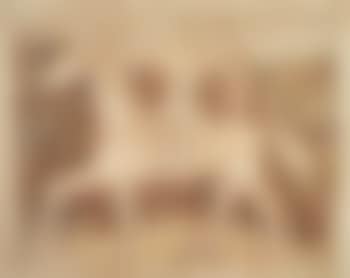 Cavallerizza (preview)