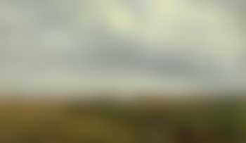 Weite Weidelandschaft mit Rindern bei Winchelsea in East Sussex (preview)