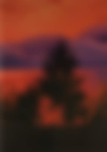 Untitled (Abete, Lago Rosso) (preview)