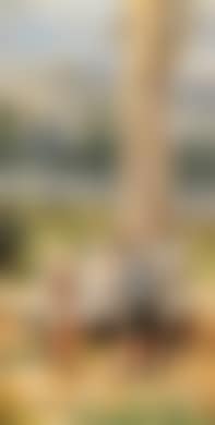 Franzl, Hansl and Friedl, Defregger's youngest yons (preview)