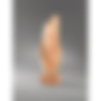 Torse (preview)