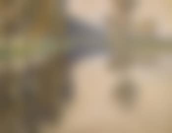 River landscape (preview)