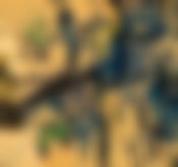 Composition (preview)