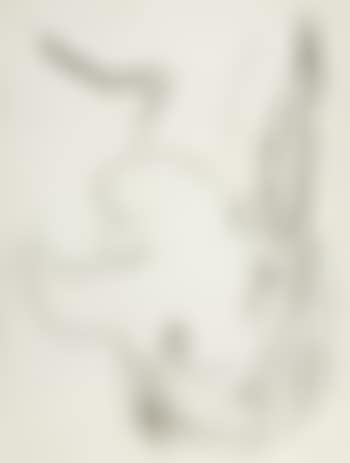 Ohne Titel (Adlernase) (preview)