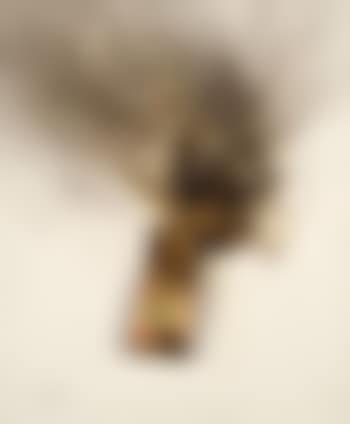 Combustion d'Allumettes (preview)