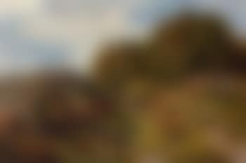 Figures and cattle on a country path (preview)