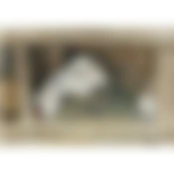 Les Lapins (preview)