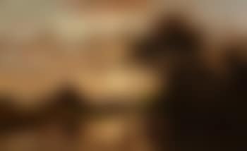 Cattle watering at sunset (preview)