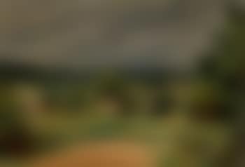 Paysage (preview)
