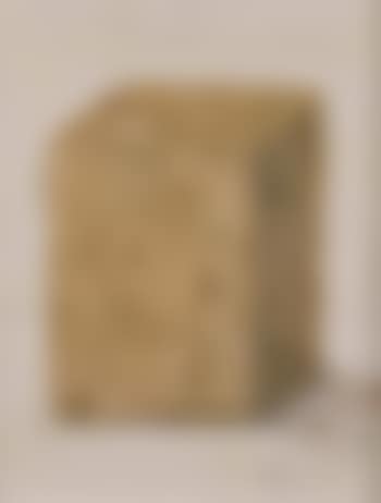 Portrait de compression (preview)