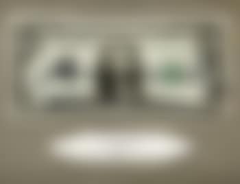 1 dollar (preview)