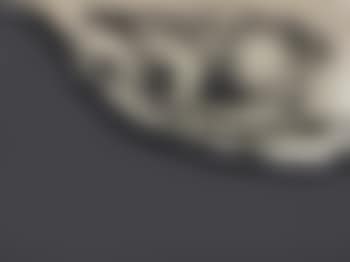 Le chien de Goya (preview)