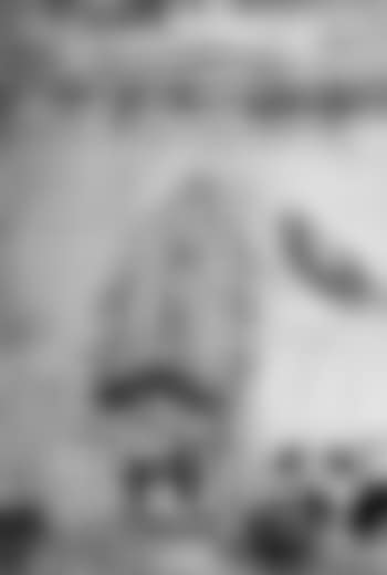 Les jonques (preview)