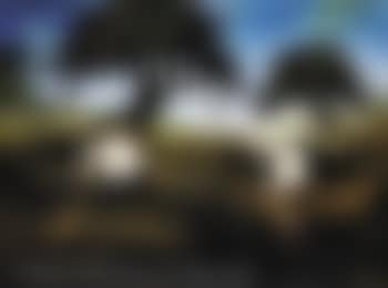 The bayou side (preview)
