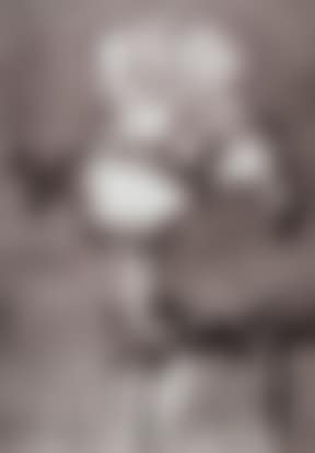 Iris II (preview)