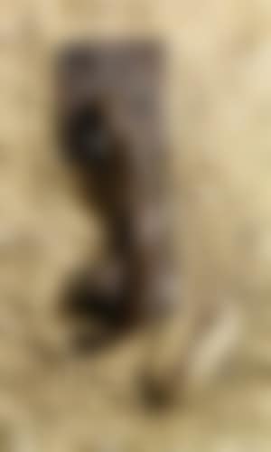 Poulpe a la montre molle (preview)