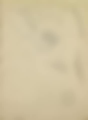 Composition (preview)