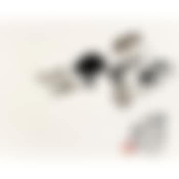 Mushroom (preview)