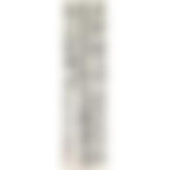 Poem In Xingshu (preview)