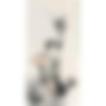 Lady With A Fan (preview)