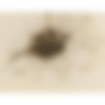 Project For Extraterrestrials No. 9 (preview)