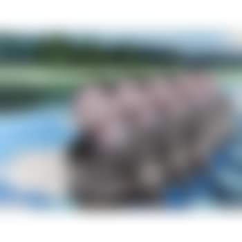 On The Lake (preview)