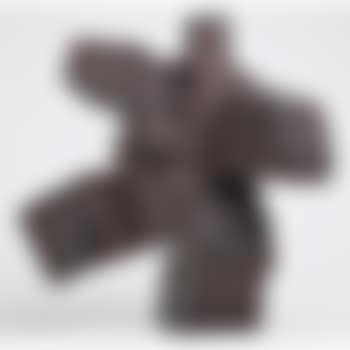 Taichi Side Kick (preview)