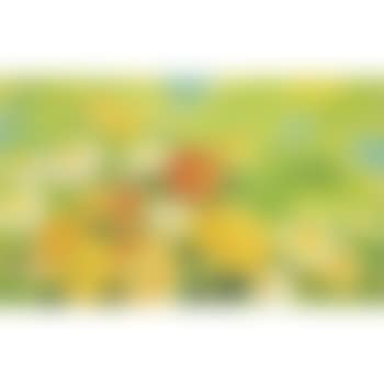 Chrysanthemums (preview)