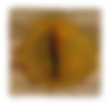 Orhidee light (preview)