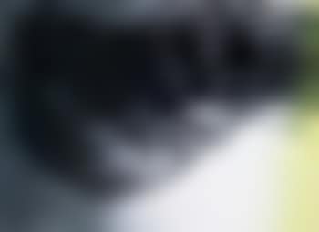 T1977-R49 (preview)