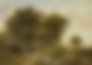 Baumlandschaft mit Bachlauf (preview)